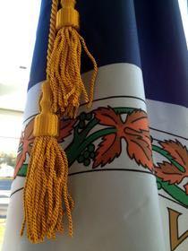 Virginia Indoor Flag Set provided by Bald Eagle Flag Store Fredericksburg VA, Flag Store Phone 540-374-3480