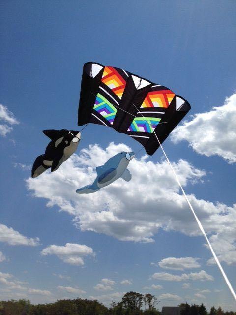 KITES, WINDSOCKS, FLAGS, FLAGPOLES AND FLAG PRODUCTS BY BALD EAGLE FLAG STORE SERVING FREDERICKSBURG, RICHMOND, CHARLOTTESVILLE, CULPEPER, WARRENTON, STAFFORD, WOODBRIDGE, SPRINGFIELD, FAIRFAX, ALEXANDRIA, ARLINGTON