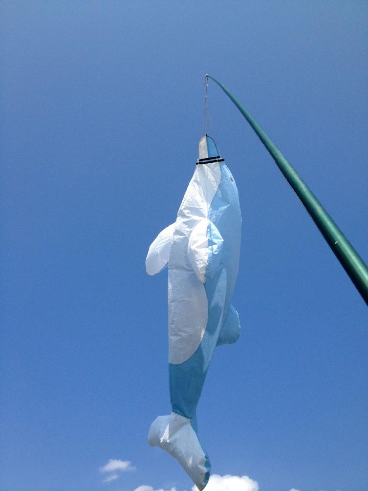 WINDSOCK BY BALD EAGLE FLAG STORE FLAGPOLE AND FLAG FREDERICKSBURG VA USA, FLAGPOLE INSTALLATION IN THE FREDERICKSBURG REGION