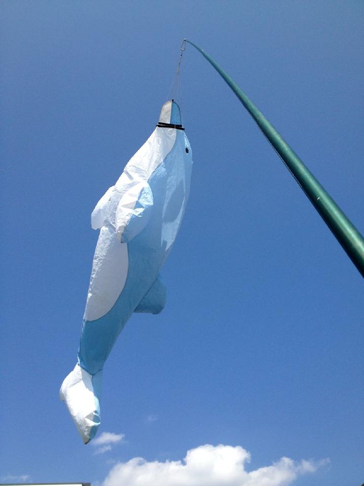 WINDSOCK BY BALD EAGLE FLAG STORE FLAGPOLE AND FLAG FREDERICKSBURG VA USA, FLAGPOLE INSTALLATION IN THE FREDERICKSBURG REGION