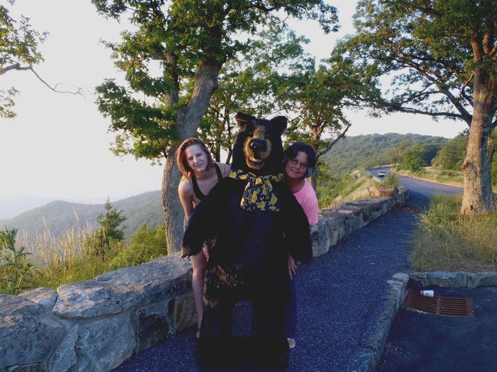 gertrude the black bear bald eagle flag store