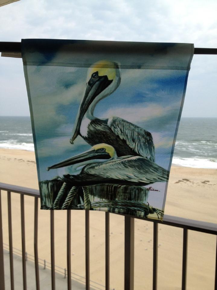 GARDEN FLAG SALE AT BALD EAGLE FLAG STORE FREDERICKSBURG VA USA oldest operating flagpole and flag store in Fredericksburg Va serving richmond, hampton, newport news, norfolk, va beach, arlington, alexandria, fairfax, haymarket, warrantor, culpeper, charlottesville, Petersburg, Midlothian, Short Pump region