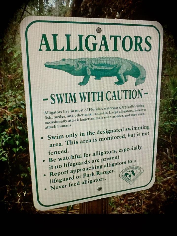 alligator by bald eagle flag store fredericksburg va, alligator flag, alligator whirligig, alligator garden spinner, alligator garden flag