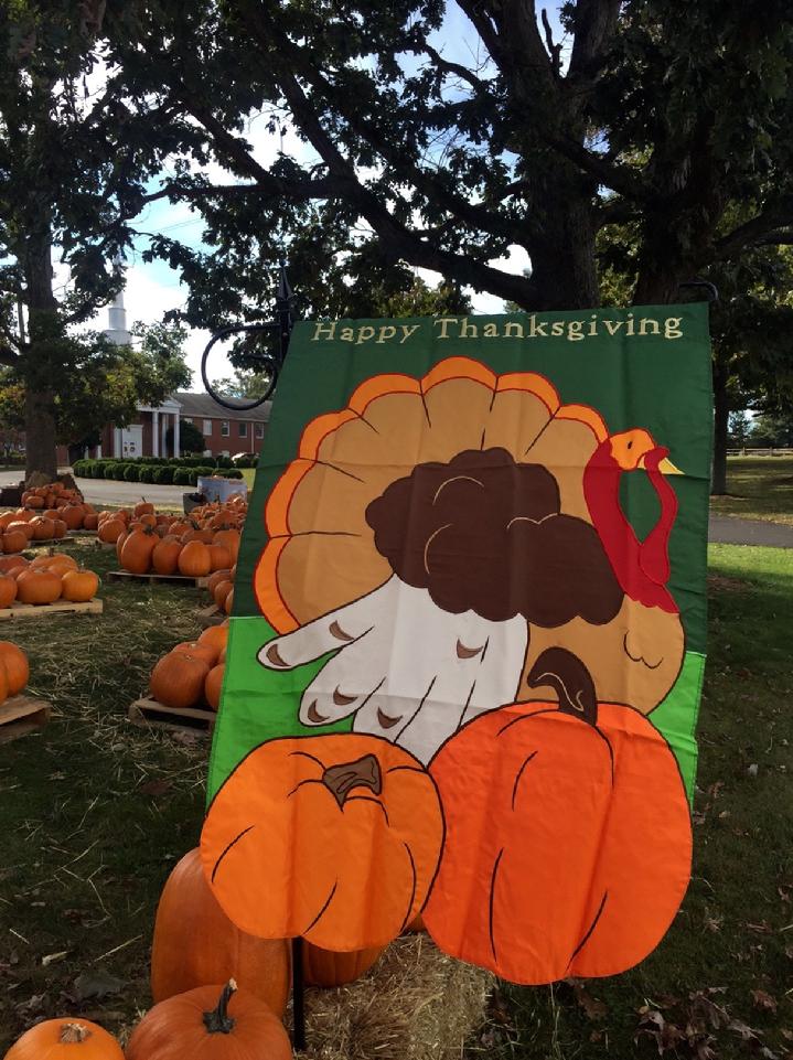 VINTAGE DELUXE 3D APPLIQUE HAPPY THANKSGIVING FLAG TRADITIONAL TURLEY FLAG BY BALD EAGLE FLAG STORE FREDERICKSBURG VIRGINIA USA 22407 (540) 374-3480 BALDEAGLEINDUSTRIES.COM