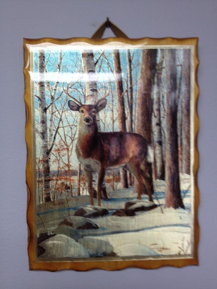 WILDLIFE ART BY BALD EAGLE FLAG STORE, BEAR, WOLF, BOB CAT, BALD EAGLE, FALCON, DEER, RACCOON, FOX, SALMON FISH, OWL, PONY, HORSE, NATIVE AMERICAN INDIAN 