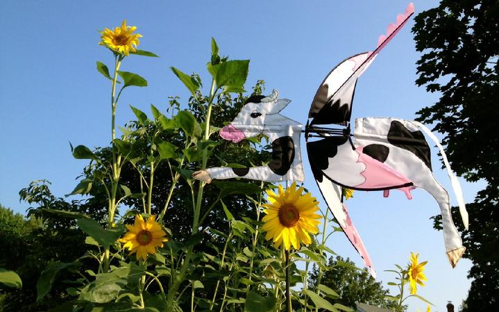 premier kites flying cow whirligig at bald eagle flag store fredericksburg va