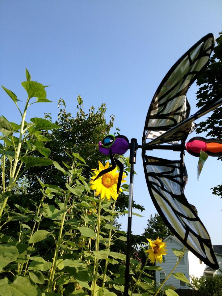 GARDEN SPINNER WIND SPINNER BY BALD EAGLE FLAG STORE DIVISION OF BALD EAGLE INDUSTRIES SERVING FREDERICKSBURG, RICHMOND, HAMPTON, NEWPORT NEWS, NORFOLK, VA BEACH, ARLINGTON, ALEXANDRIA, FAIRFAX, WINCHESTER, HARRISONBURG, WARRANTON, CHARLOTTESVILLE, PHOTOGRAPH BY BALDEAGLEINDUSTRIES.COM