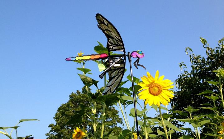 GARDEN SPINNER WIND SPINNER BY BALD EAGLE FLAG STORE DIVISION OF BALD EAGLE INDUSTRIES SERVING FREDERICKSBURG, RICHMOND, HAMPTON, NEWPORT NEWS, NORFOLK, VA BEACH, ARLINGTON, ALEXANDRIA, FAIRFAX, WINCHESTER, HARRISONBURG, WARRANTON, CHARLOTTESVILLE, PHOTOGRAPH BY BALDEAGLEINDUSTRIES.COM