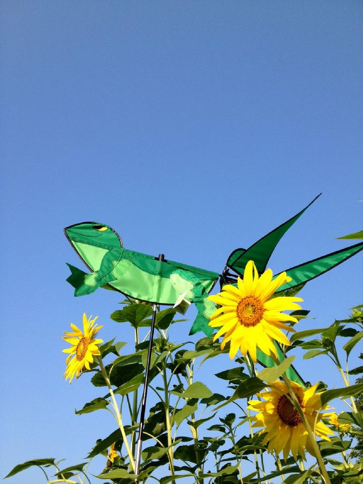 premier kites frog whirligig garden spinner at bald eagle flag store, the oldest operating commercial flagpole and flag store in fredericksburg