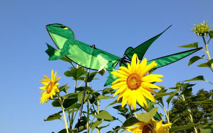 premier kites frog whirligig garden spinner at bald eagle flag store, the oldest operating commercial flagpole and flag store in fredericksburg