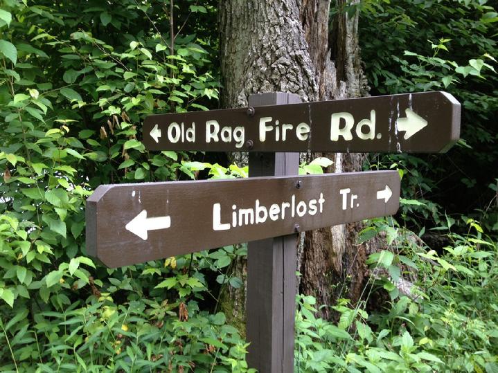 bald eagle flag store hiking on old rag fire road and limberlost near skyland lodge shenandoah national park, family time in the mountains