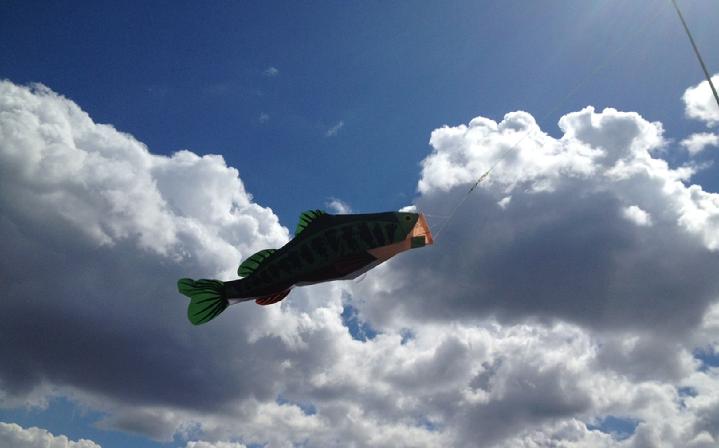 bald eagle flag store premier kites bass fish windsock at bald eagle kite shop fredericksburg va