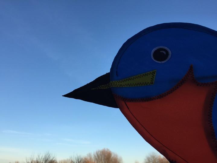 vintage solarmax nylon bluebird spinner whirligig at bald eagle flag store serving fredericksburg, richmond, arlington, alexandria, fairfax and stafford