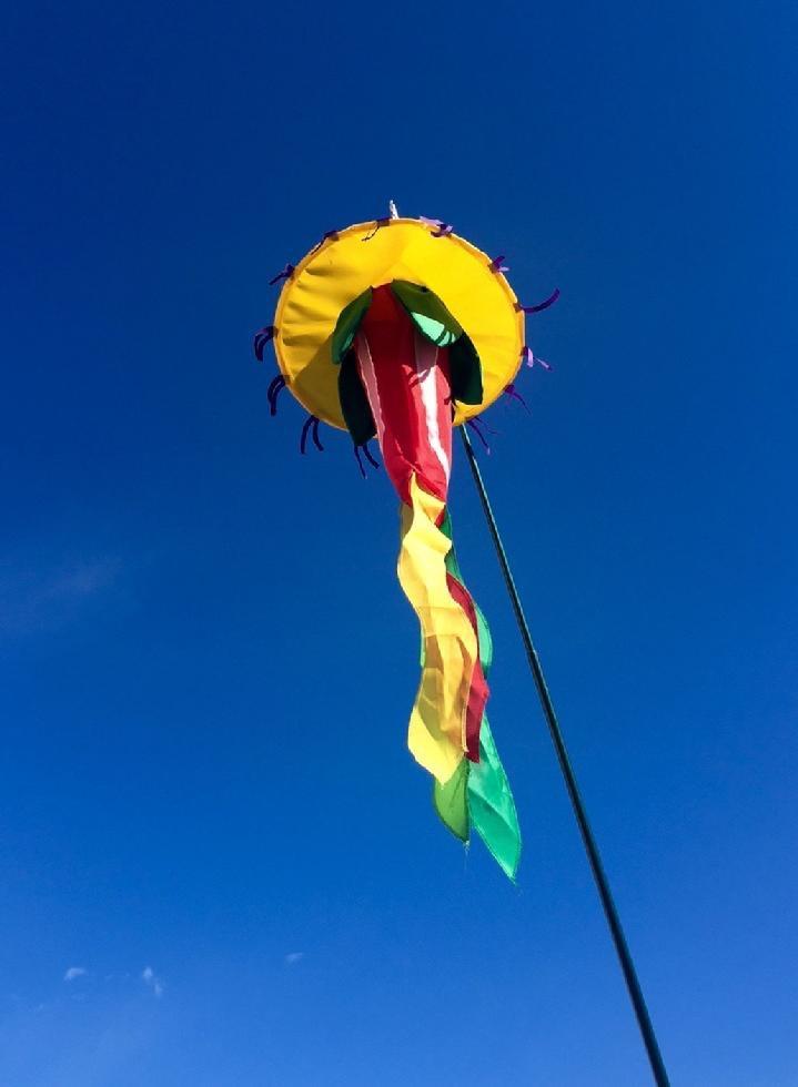 CHILI PEPPER WINDSOCK SALES BY BALD EAGLE FLAG STORE FREDERICKSBURG VIRGINIA USA, 540-374-3480 PHOTOGRAPH BY BALDEAGLEINDUSTRIES.COM