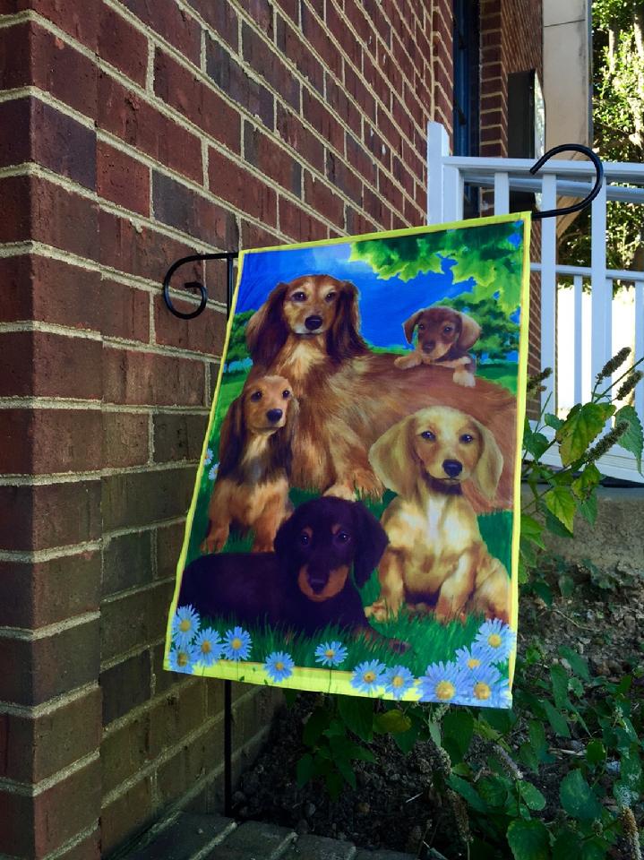 BEAUTIFUL DACHSHUND FLAG FROM BALD EAGLE INDUSTRIES AT BALD EAGLE FLAG STORE FREDERICKSBURG VIRGINIA USA (540) 374-3480 PHOTOGRAPH BY BALDEAGLEINDUSTRIES.COM