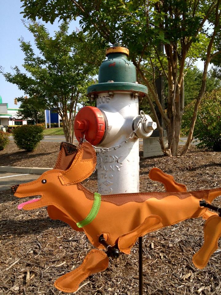 dachshund puppies fredericksburg va at bald eagle flag store, dachshund puppy whirligig spins in the wind, puppies for sale at bald eagle flag store fredericksburg va