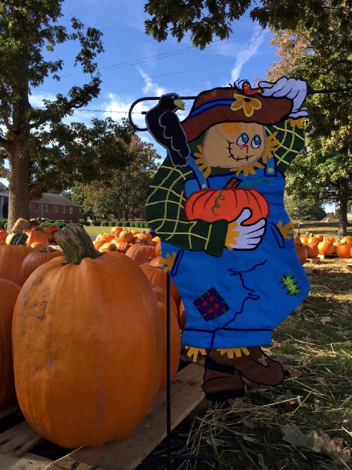 DELUXE 3D SCARECROW FLAG GARDEN FLAG BY BALD EAGLE FLAG STORE AMERICAN FLAG AND FLAGPOLE, BALDEAGLEINDUSTRIES.COM (540) 374-3480, FLAG STORE SERVING FREDERICKSBURG, RICHMOND, HAMPTON, NEWPORT NEWS, NORFOLK, VA BEACH, ARLINGTON, ALEXANDRIA, FAIRFAX, STAFFORD, CHARLOTTESVILLE, HARRISONBURG, WINCHESTER, HAYMARKET, FRONT ROYAL, MANA