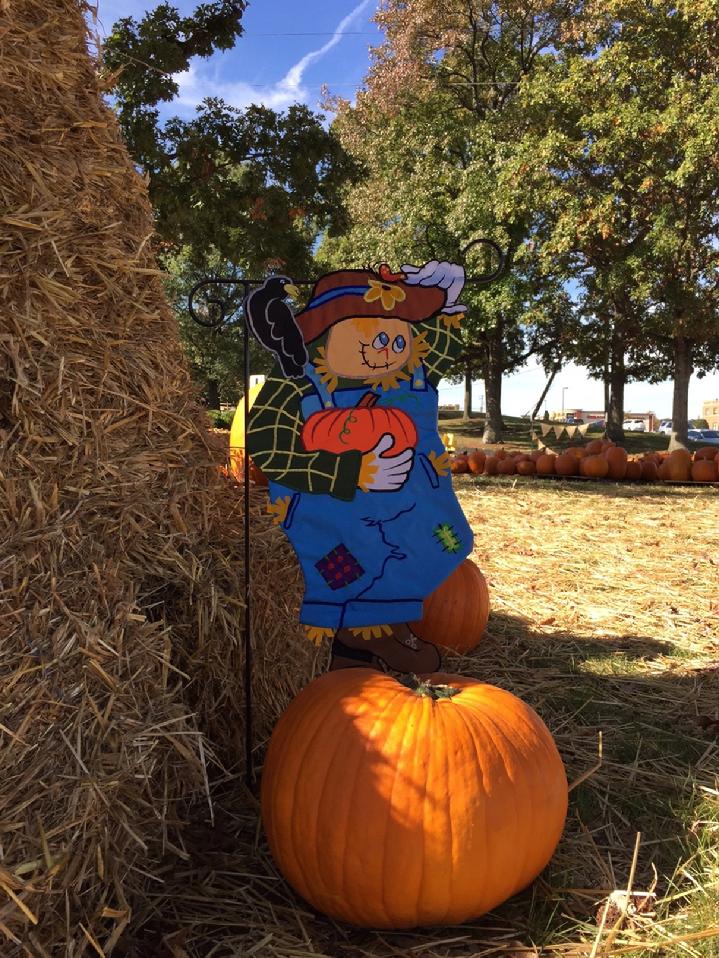 DELUXE 3D SCARECROW FLAG GARDEN FLAG BY BALD EAGLE FLAG STORE AMERICAN FLAG AND FLAGPOLE, BALDEAGLEINDUSTRIES.COM (540) 374-3480, FLAG STORE SERVING FREDERICKSBURG, RICHMOND, HAMPTON, NEWPORT NEWS, NORFOLK, VA BEACH, ARLINGTON, ALEXANDRIA, FAIRFAX, STAFFORD, CHARLOTTESVILLE, HARRISONBURG, WINCHESTER, HAYMARKET, FRONT ROYAL, MANA