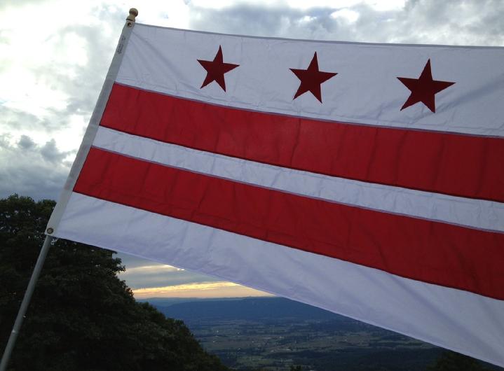 COMMERCIAL FLAGPOLES, FLAGS AND FLAG PRODUCTS BY BALD EAGLE FLAG STORE DIVISION OF BALD EAGLE INDUSTRIES FREDERICKSBURG VIRGINIA USA (540) 374-3480 PHOTOGRAPH BY BALDEAGLEINDUSTRIES.COM
