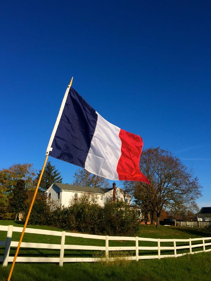 FRANCE FLAG BY BALD EAGLE FLAG STORE FREDERICKSBURG VIRGINIA (540) 37403480