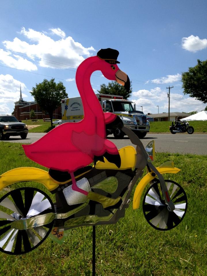 flamingo biker spinner at bald eagle flag store, flamingo flags, flamingo kites, flamingo bicycle, flamingo feather banner at the oldest flagpole and flag store in fredericksburg 
