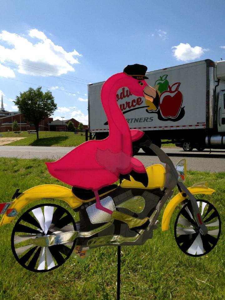 flamingo biker spinner at bald eagle flag store fredericksburg va, flamingo riding a motorcycle on route 3 at bald eagle flag store