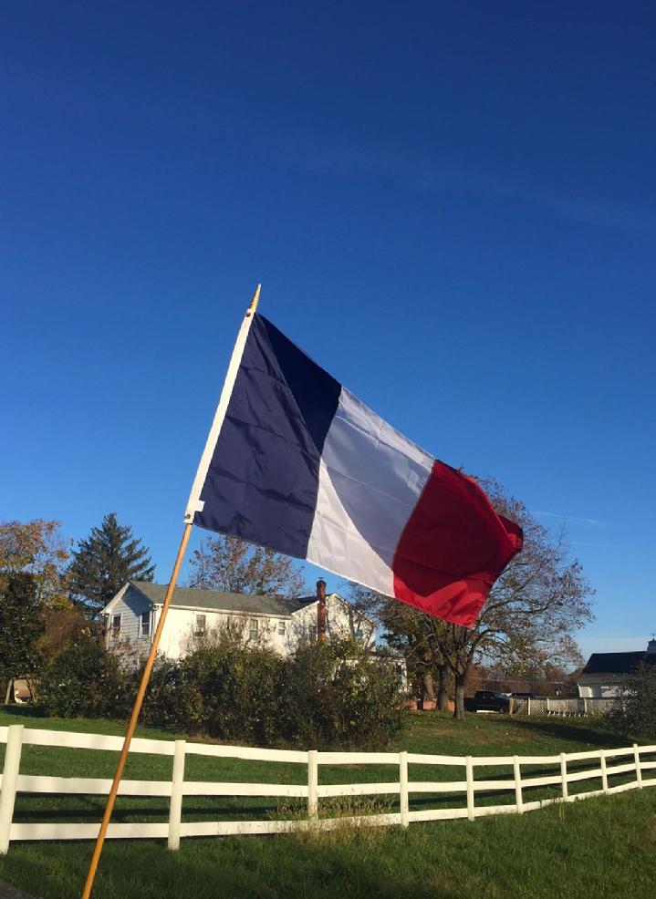 FRANCE FLAG BY BALD EAGLE FLAG STORE FREDERICKSBURG VIRGINIA (540) 37403480