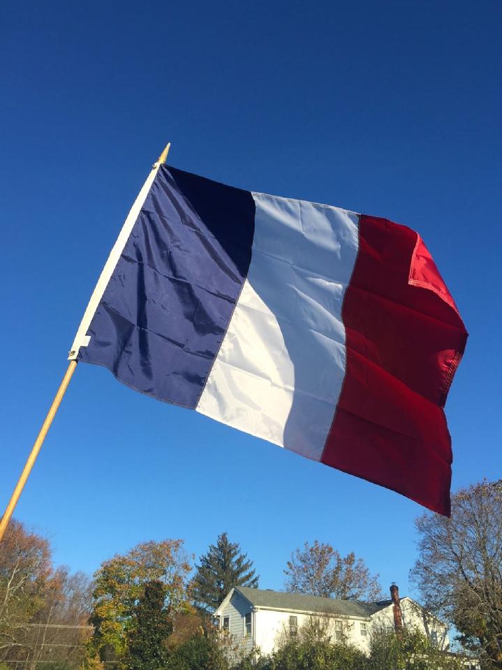 FRANCE FLAG BY BALD EAGLE FLAG STORE FREDERICKSBURG VIRGINIA (540) 37403480