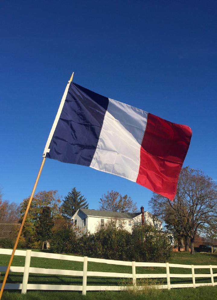 FRANCE FLAG BY BALD EAGLE FLAG STORE FREDERICKSBURG VIRGINIA (540) 37403480
