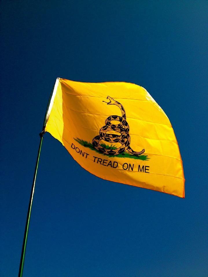 gadsden flag by bald eagle flag store, gadsden flag made in va by the oldest flag company in fredericksburg va, dont tread on me rattlesnake flag is a historical flag of the united states