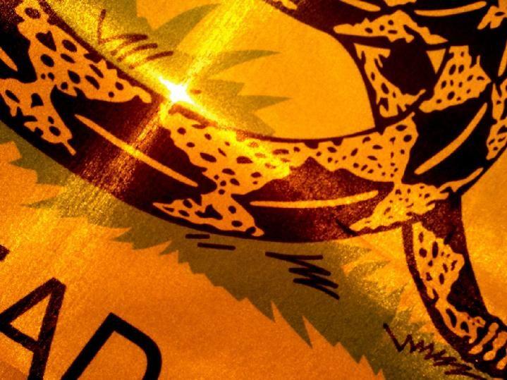 gadsden flag by bald eagle flag store, gadsden flag made in va by the oldest flag company in fredericksburg va, dont tread on me rattlesnake flag is a historical flag of the united states