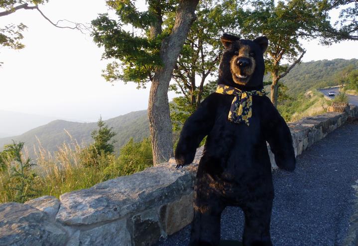 gertrude the black bear at bald eagle flag store