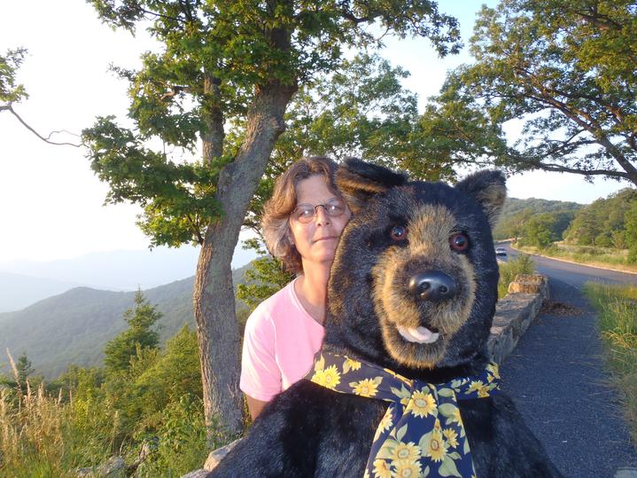 Gertrude the Black Bear on Skyline Drive Shenandoah National Park bear by Bald Eagle Flag Store Fredericksburg Virginia, 6 foot black bear from canada