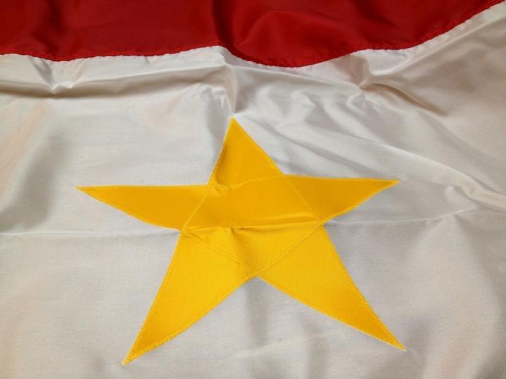 GOLD STAR MOMS FLAG GOLD STAR FLAG BY BALD EAGLE FLAG STORE FREDERICKSBURG VA 540-474-3480 BALDEAGLEINDUSTRIES.COM