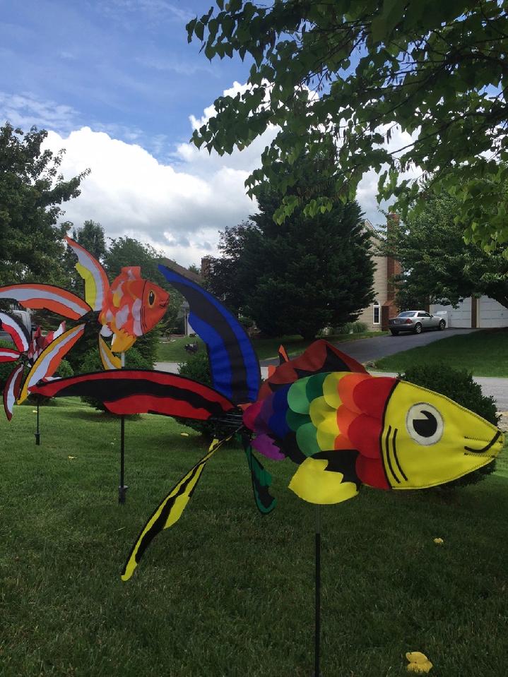 KOI FISH SPINNERS ARE ON SALE AT BALD EAGLE FLAG STORE FREDERICKSBURG VA USA, 540-374-3480 PHOTOGRAPH BY BALDEAGLEINDUSTRIES.COM