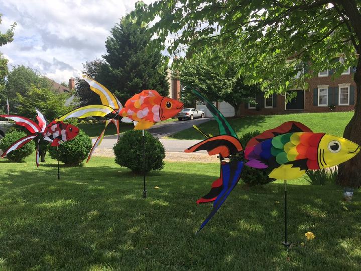 KOI FISH SPINNER GARDEN SPINNER SALES BY BALD EAGLE FLAG STORE FREDERICKSBURG VIRGINIA USA 540-374-3480 PHOTOGRAPH BY BALDEAGLEINDUSTRIES.COM