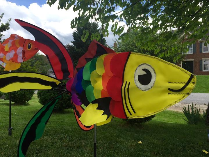 BEAUTIFUL KOI FISH SWIMMING FISH BY BALD EAGLE FLAG STORE FREDERICKSBURG VA USA, 540-374-3480 PHOTOGRAPH BY BALDEAGLEINDUSTRIES.COM
