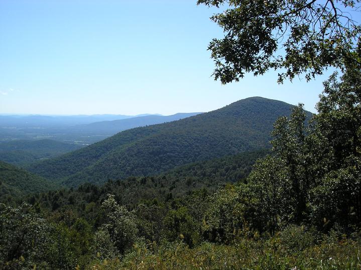 family time on skyline drive bald eagle flag store va