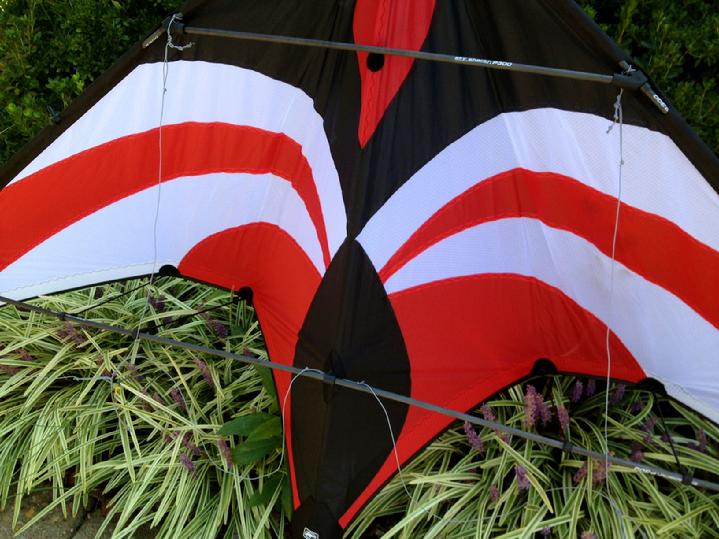 PREMIER KITES WIDOW NG SPORT KITE BY BALD EAGLE FLAG STORE FREDERICKSBURG VA, PHOTOGRAPH BY BALD EAGLE FLAG STORE FREDERICKSBURG VA (540) 374-3480