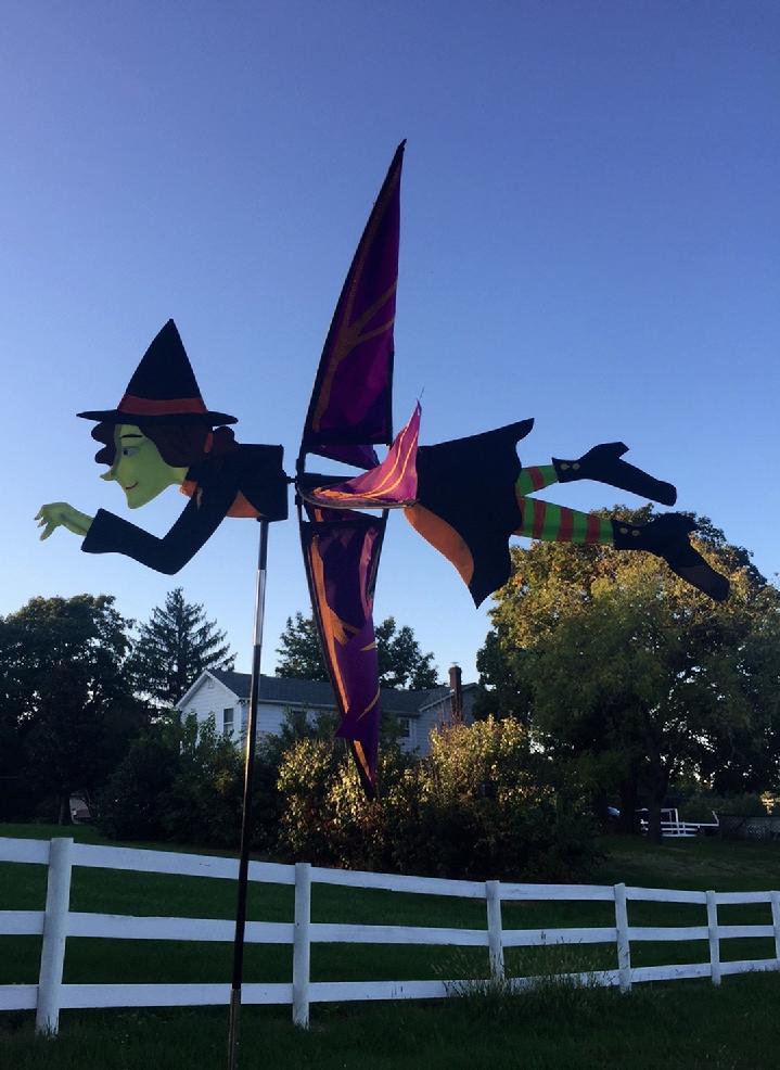 Commercial Flagpole, Flag and Flag Product by Bald Eagle Flag Store Division of Bald Eagle Industries Fredericksburg Virginia USA 540-374-3480 Sunrise on Daytona Beach Florida Family Time