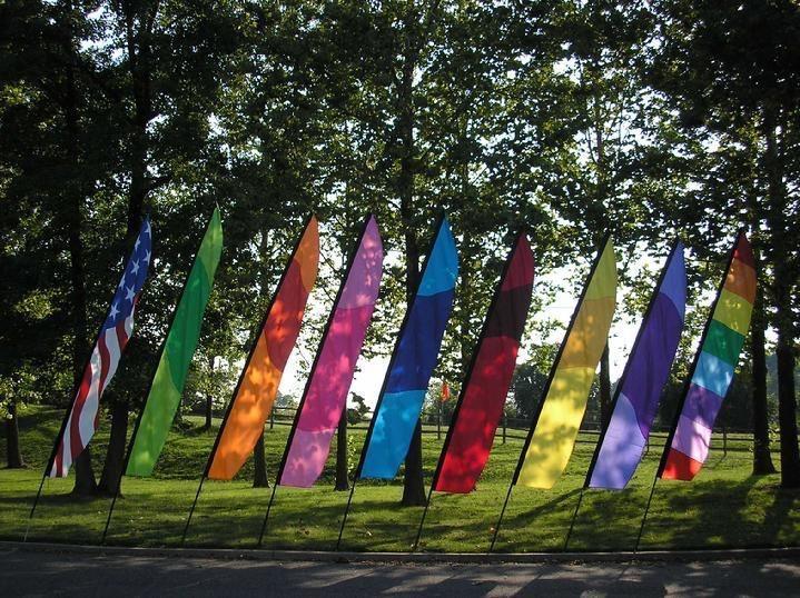 VINTAGE FISH FLAG, HERON FLAG, FLAMINGO FLAG, PARROT FLAG, PIRATE FLAG, FROG FLAG, HUMMINGBIRD FLAG, BUTTERFLY FLAG AND LADYBUG FLAG BY BALD EAGLE FLAG STORE USA, PHOTOGRAPH BY BALDEAGLEINDUSTRIES.COM (540) 374-3480