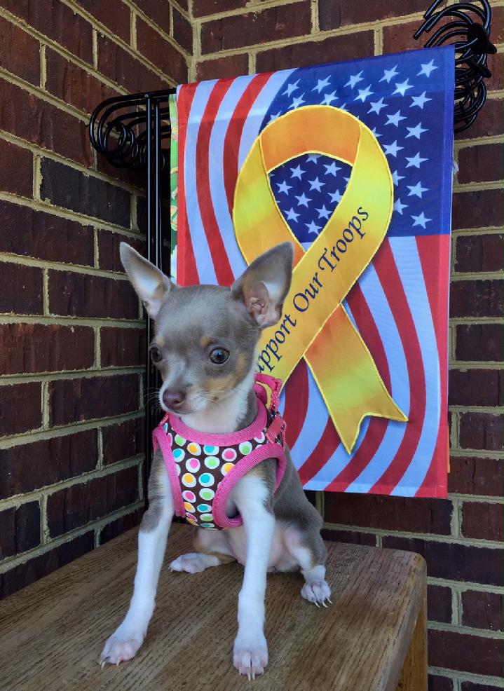 SUPPORT OUR TROOPS FLAG BY BALD EAGLE FLAG STORE 540-374-3480 PHOTOGRAPH BY BALDEAGLEINDUSTRIES.COM