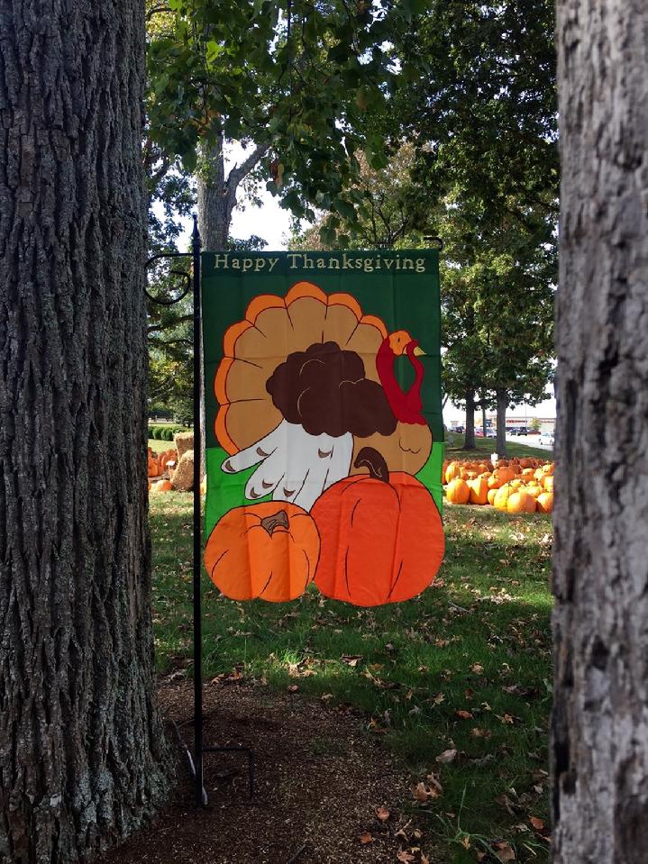 VINTAGE DELUXE 3D APPLIQUE HAPPY THANKSGIVING FLAG TRADITIONAL TURLEY FLAG BY BALD EAGLE FLAG STORE FREDERICKSBURG VIRGINIA USA 22407 (540) 374-3480 BALDEAGLEINDUSTRIES.COM