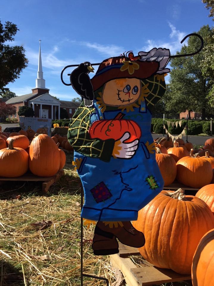DELUXE 3D SCARECROW FLAG GARDEN FLAG BY BALD EAGLE FLAG STORE AMERICAN FLAG AND FLAGPOLE, BALDEAGLEINDUSTRIES.COM (540) 374-3480, FLAG STORE SERVING FREDERICKSBURG, RICHMOND, HAMPTON, NEWPORT NEWS, NORFOLK, VA BEACH, ARLINGTON, ALEXANDRIA, FAIRFAX, STAFFORD, CHARLOTTESVILLE, HARRISONBURG, WINCHESTER, HAYMARKET, FRONT ROYAL, MANA