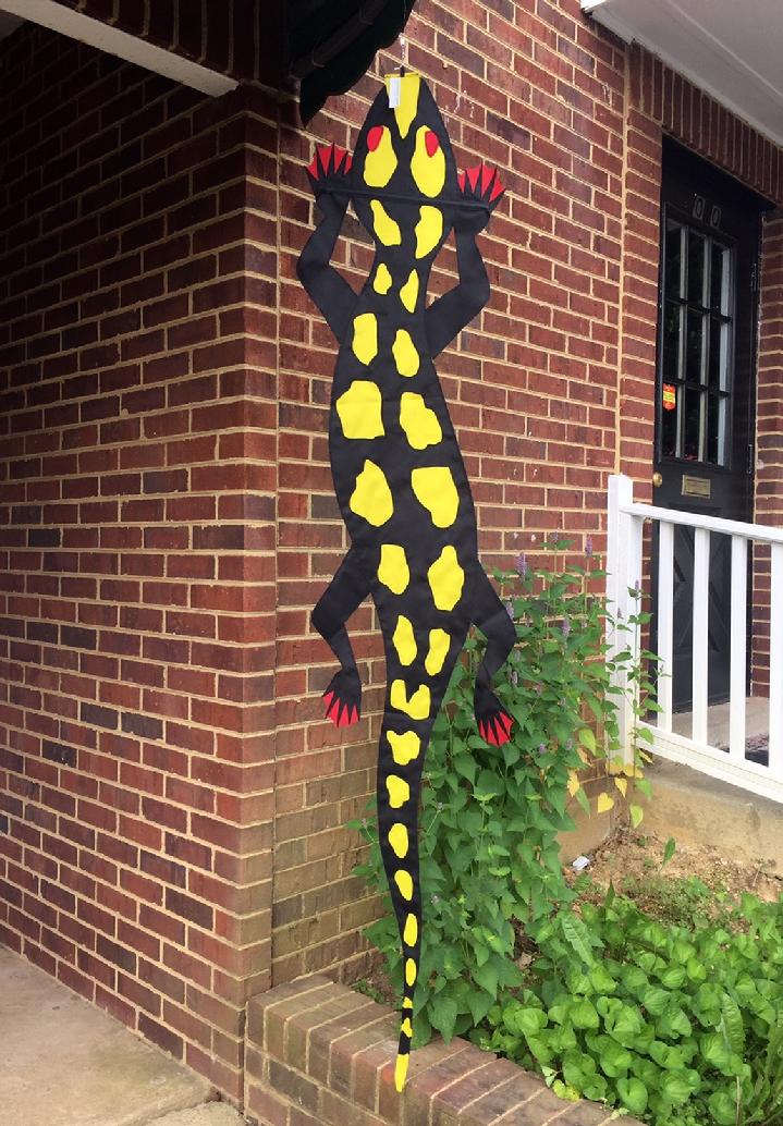 YELLOW SPOTTED SALAMANDER FLAG SALES BY BALD EAGLE FLAG STORE FREDERICKSBURG VA USA, 540-374-3480 PHOTOGRAPH BY BALDEAGLEINDUSTRIES.COM FROM OUR COLLECTION OF RARE FLAGS PRODUCED IN YEARS PAST, FLAGS THAT ARE OUT OF PRODUCTION, FLAGS THAT ARE NO LONGER BEING MADE