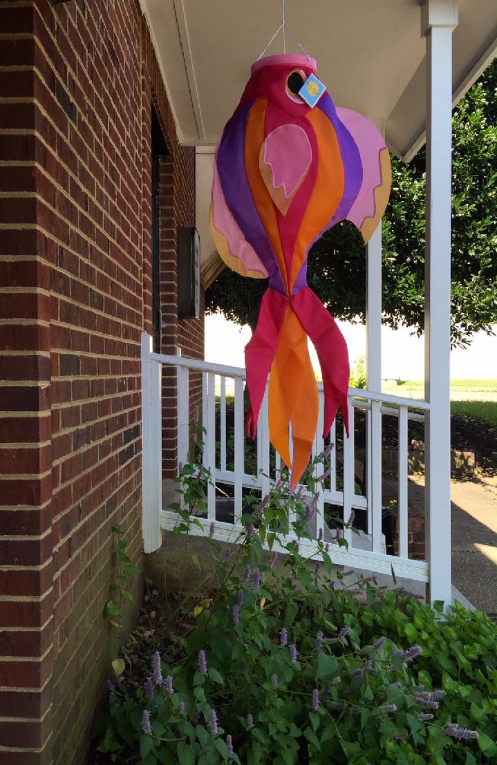VINTAGE SOLARMAX NYLON BUTTERFLY FISH WINDSOCK BY BALD EAGLE FLAG STORE FREDERICKSBURG VA USA 540-374-3480 PHOTOGRAPH BY BALDEAGLEINDUSTRIES.COM
