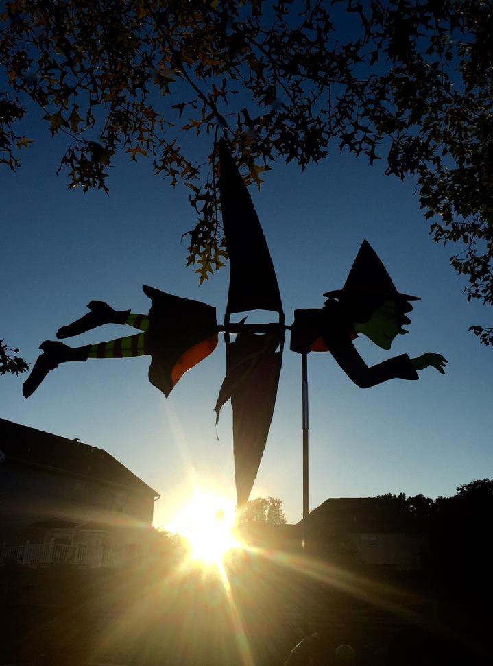 Commercial Flagpole, Flag and Flag Product by Bald Eagle Flag Store Division of Bald Eagle Industries Fredericksburg Virginia USA 540-374-3480 Sunrise on Daytona Beach Florida Family Time