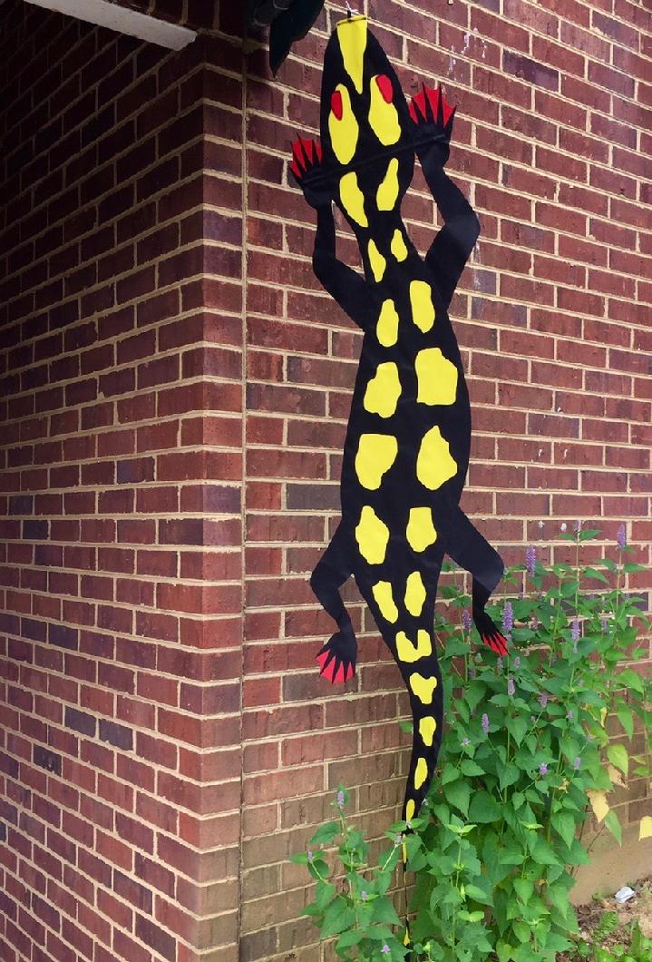 YELLOW SPOTTED SALAMANDER FLAG SALES BY BALD EAGLE FLAG STORE FREDERICKSBURG VA USA, 540-374-3480 PHOTOGRAPH BY BALDEAGLEINDUSTRIES.COM FROM OUR COLLECTION OF RARE FLAGS PRODUCED IN YEARS PAST, FLAGS THAT ARE OUT OF PRODUCTION, FLAGS THAT ARE NO LONGER BEING MADE