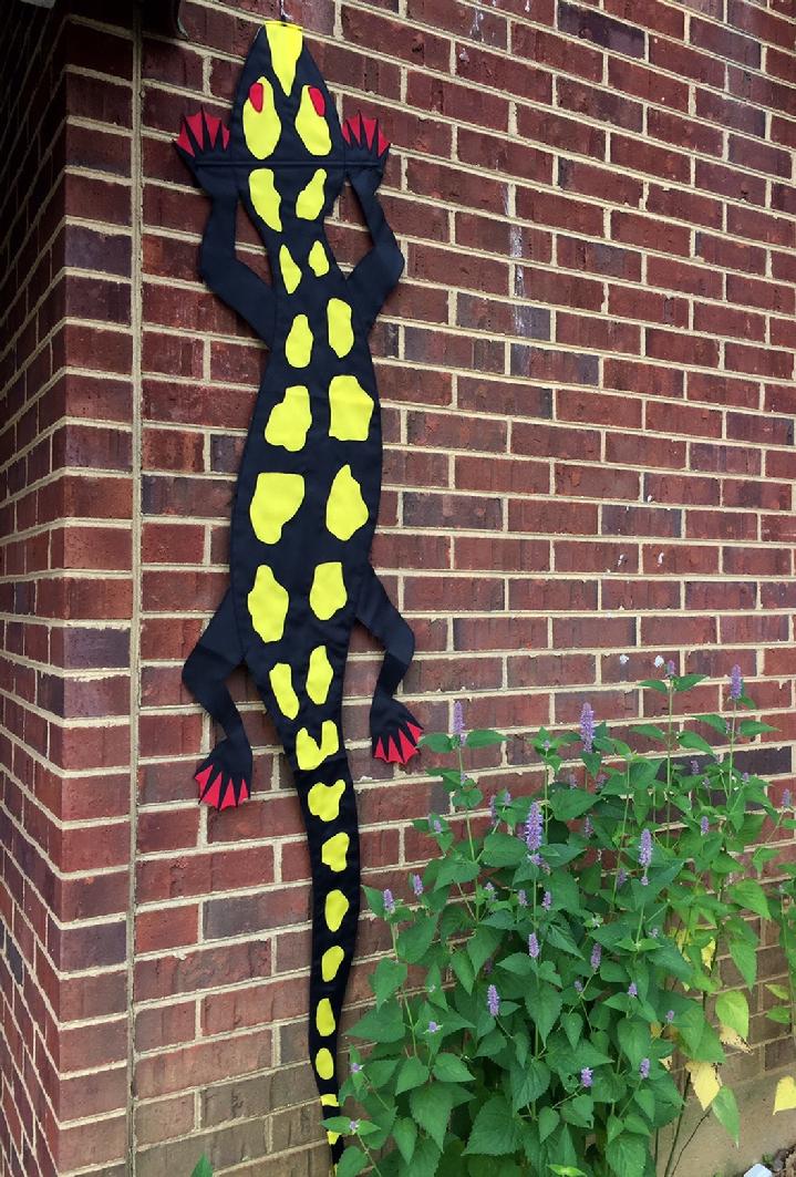 YELLOW SPOTTED SALAMANDER FLAG SALES BY BALD EAGLE FLAG STORE FREDERICKSBURG VA USA, 540-374-3480 PHOTOGRAPH BY BALDEAGLEINDUSTRIES.COM FROM OUR COLLECTION OF RARE FLAGS PRODUCED IN YEARS PAST, FLAGS THAT ARE OUT OF PRODUCTION, FLAGS THAT ARE NO LONGER BEING MADE