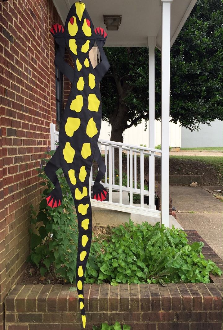 YELLOW SPOTTED SALAMANDER FLAG SALES BY BALD EAGLE FLAG STORE FREDERICKSBURG VA USA, 540-374-3480 PHOTOGRAPH BY BALDEAGLEINDUSTRIES.COM FROM OUR COLLECTION OF RARE FLAGS PRODUCED IN YEARS PAST, FLAGS THAT ARE OUT OF PRODUCTION, FLAGS THAT ARE NO LONGER BEING MADE